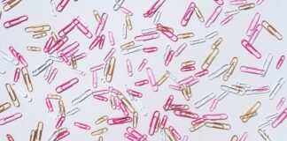 DALL’APP ANP | Adempimenti del DS: La valutazione del periodo di formazione e prova dei docenti neoassunti | LA MODULISTICA PER I SOCI