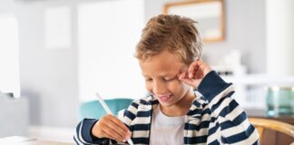 VADEMECUM ANP  SULLE INDICAZIONI OPERATIVE PER LO SVOLGIMENTO DELLE ATTIVITÀ DIDATTICHE NELLA DDI