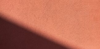 Comunicato stampa ANP: luci e ombre sull’organico Covid