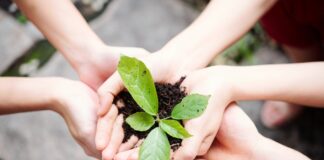 Ciclo di webinar “LO SVILUPPO LOCALE CHE VORREI. IDEE DI IMPRESA EQUA E SOSTENIBILE NELL’ERA DIGITALE”