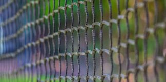 Webinar “Il dirigente scolastico nella rete delle relazioni: dentro e fuori la scuola”. La registrazione e le slide.