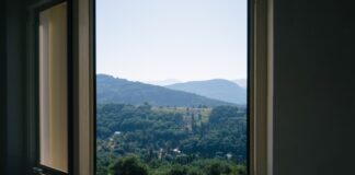 Webinar ANP Treccani Futura: pubblicata la registrazione