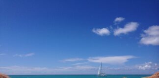 Agosto… Protocollo mio non ti conosco!