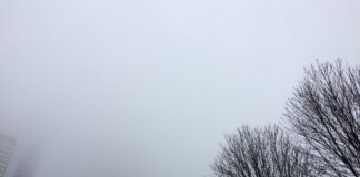 Il Ministero incontra i dirigenti scolastici ovvero l’estate sta finendo… e siamo già nelle nebbie autunnali!