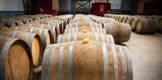 Comunicato stampa ANP | Giannelli: facciamo chiarezza, i 350 milioni erogati alle scuole non hanno niente a che fare con i sistemi di aerazione