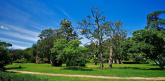 Form registrazione evento 16 luglio 2022