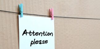 Delibera ANAC n. 201/2022 e adempimenti delle scuole: l’ANP chiede il rispetto del principio di legalità