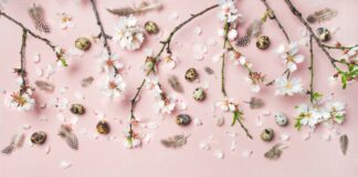 Pasqua 2023: gli auguri del Presidente ANP