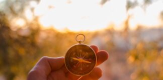 Tutor, Orientatore e Piattaforma Unica: il vademecum dell’ANP