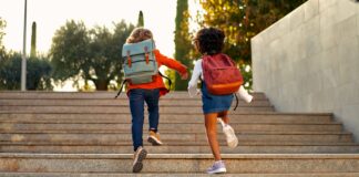 Convertito in legge il “decreto Caivano”: le novità di rilievo per la scuola