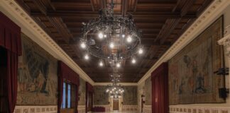 Rapporto INAPP 2023: il commento dell’ANP