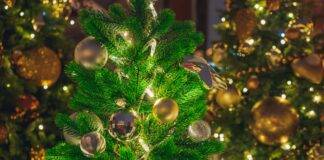 Gli auguri del Presidente ANP