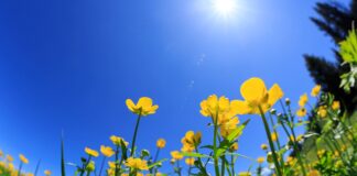 Webinar Azioni propedeutiche all’avvio del nuovo anno scolastico (II): aspetti organizzativi. Pubblicate la registrazione e le slide