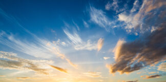 DS domani | Il programma della formazione del 12 e 13 luglio 2024