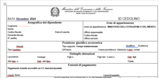 Webinar “Leggiamo insieme il cedolino”: la registrazione e le slide