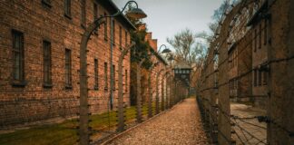 Viaggi della Memoria: approvato il fondo per le scuole secondarie di II grado