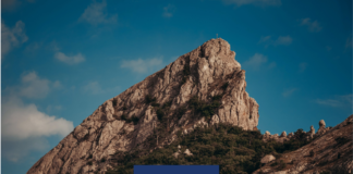 Questionario di gradimento webinar NEODS25 ANP “Gestione del Tavolo sindacale: l’apertura delle relazioni“