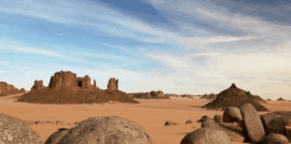 VIAGGIO IN ALGERIA: form candidatura